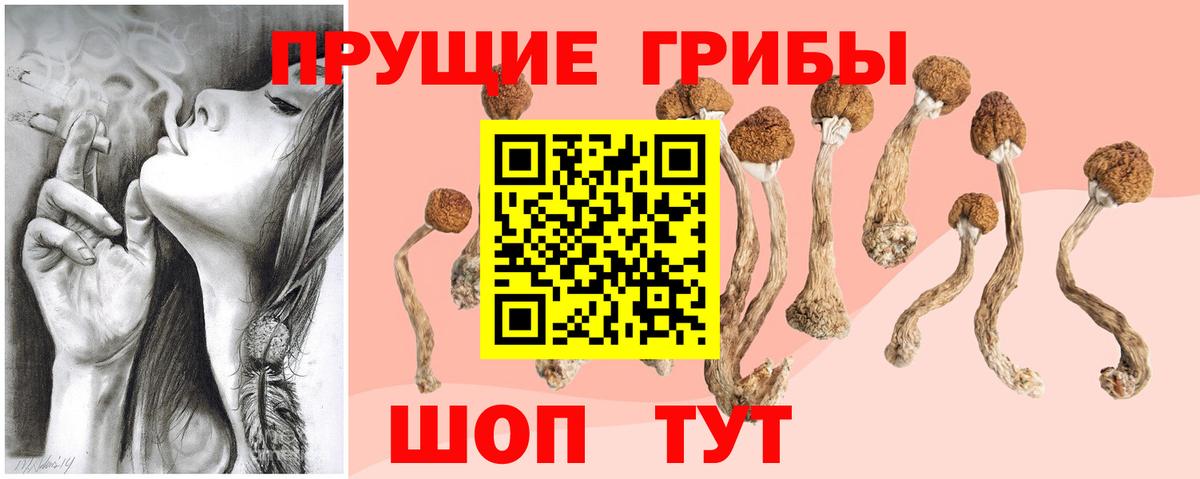 Галлюциногенные грибы мухоморы Черкесск